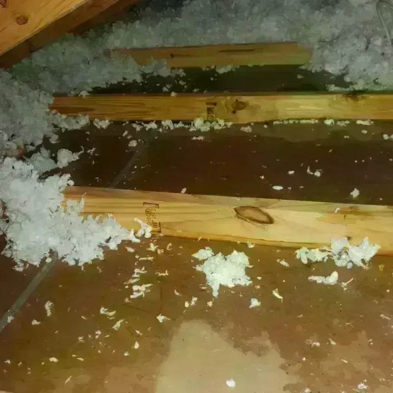 Attic Water Damage in Merton, WI