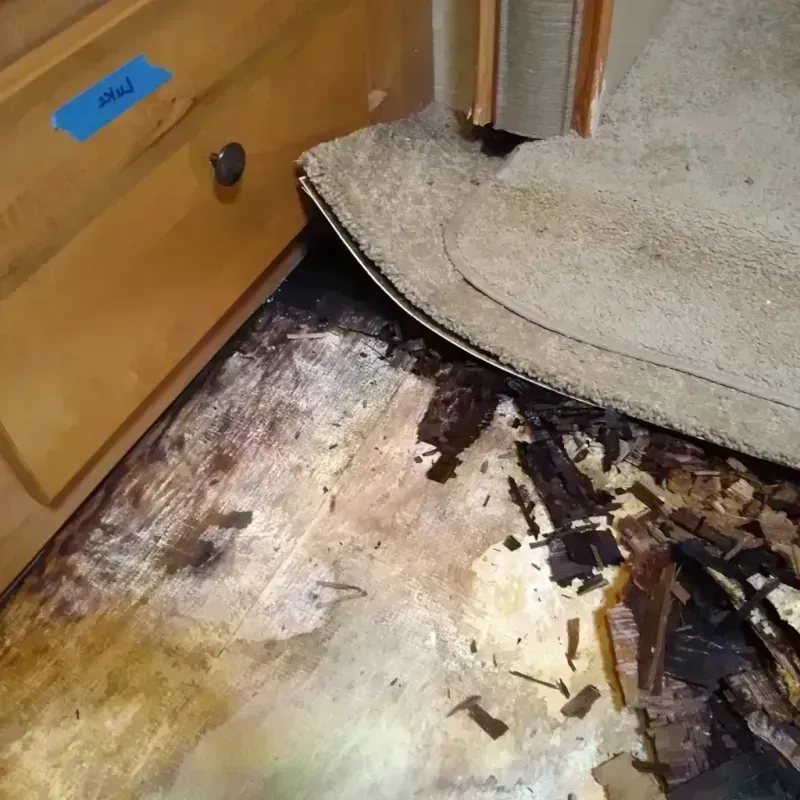 Best Wood Floor Water Damage Service in Merton, WI